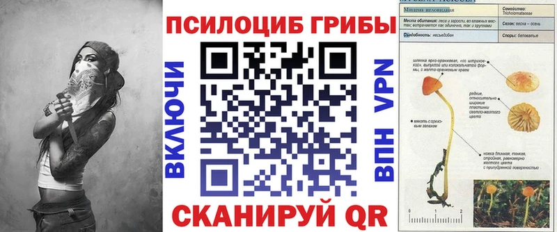 Галлюциногенные грибы прущие грибы  Купить где  Голицыно 
